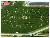 http://mais-labyrinth-eberdingen.de/Wissenswertes/ML2006.jpg